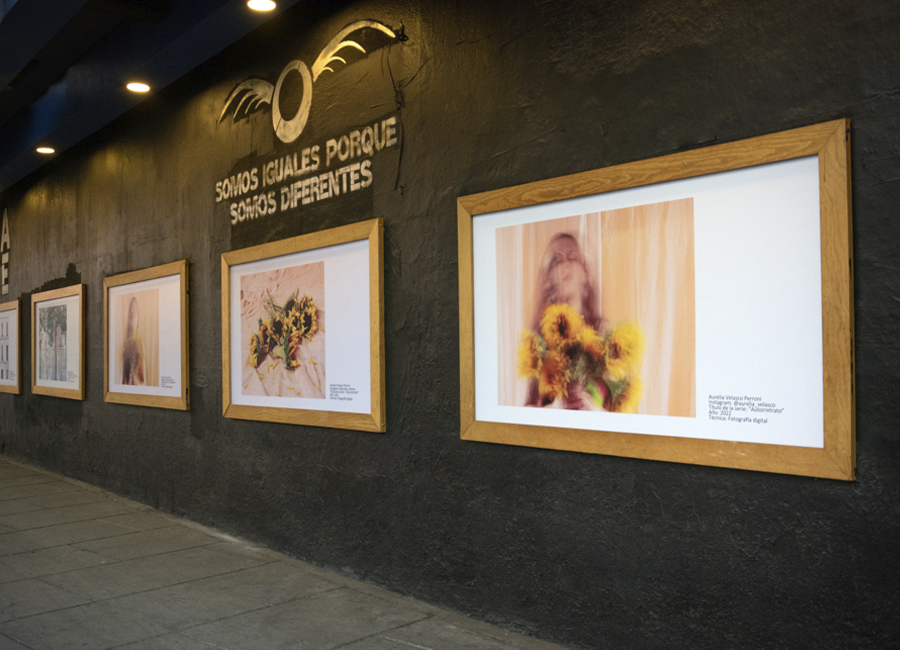 Guante decorado con abejas en sesión de moda